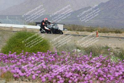 media/Feb-04-2023-SoCal Trackdays (Sat) [[8a776bf2c3]]/Turn 15 Inside Blooming (1050am)/